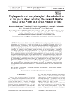 Phylogenetic and morphological characterisation of the green algae
