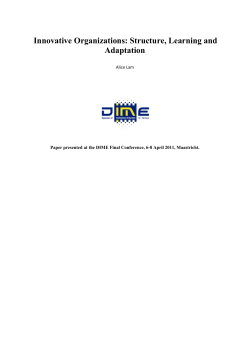 Innovative Organizations: Structure, Learning