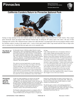 California Condors Return to Pinnacles National Park
