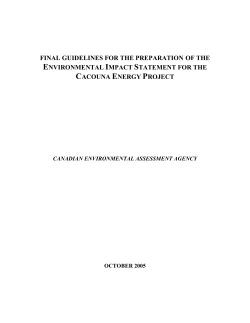 final guidelines for the preparation of the environmental impact