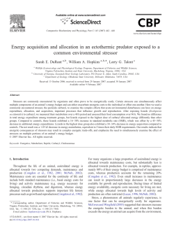 Energy acquisition and allocation in an ectothermic predator