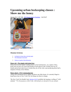 Upcoming urban beekeeping classes : Show me the honey