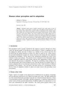 Human colour perception and its adaptation