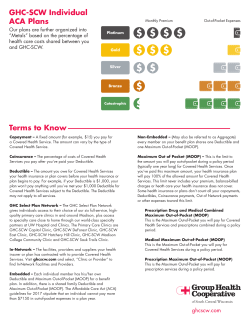 GHC-SCW Individual ACA Plans Terms to Know