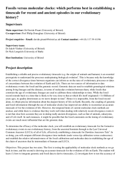 Fossils versus molecular clocks: which performs best in establishing