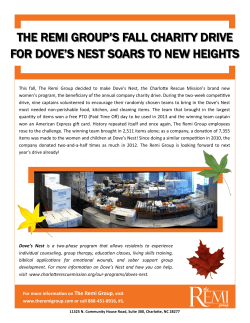 learn more - The Remi Group