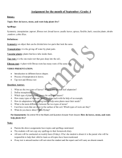 Assignment for the month of September: Grade: 4