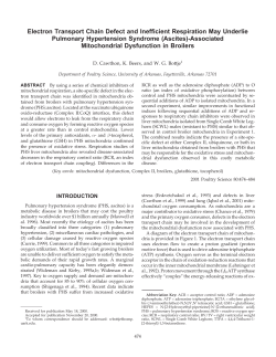 Electron Transport Chain Defect and Inefficient Respiration May