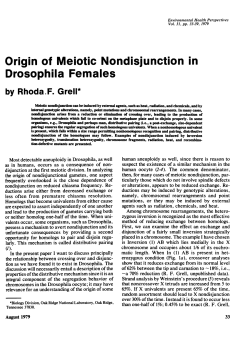 Origin of Meiotic Nondisjunction in Drosophila