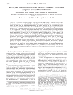Photosystem II in Different Parts of the Thylakoid Membrane: A