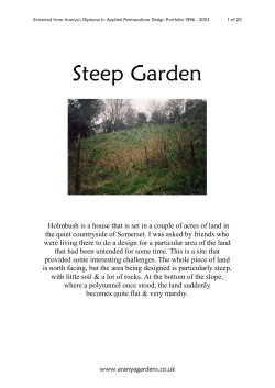 Steep Garden - Learn Permaculture