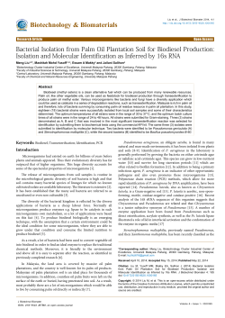 Bacterial Isolation from Palm Oil Plantation Soil for Biodiesel