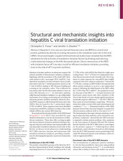 Structural and mechanistic insights into hepatitis C viral translation