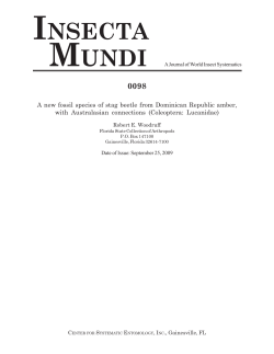 A new fossil species of stag beetle from Dominican Republic amber