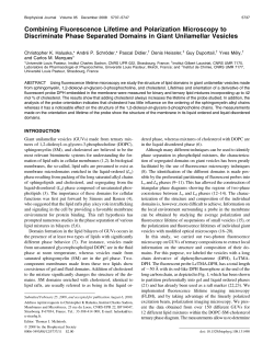 Combining Fluorescence Lifetime and Polarization Microscopy to