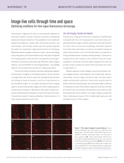 Image live cells through time and space