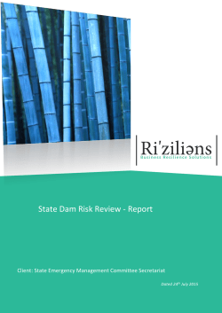State Dam Risk Review