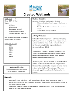 Created Wetlands