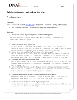 Gel electrophoresis: sort and see the DNA Pre
