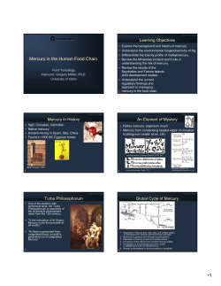 Mercury in the Human Food Chain