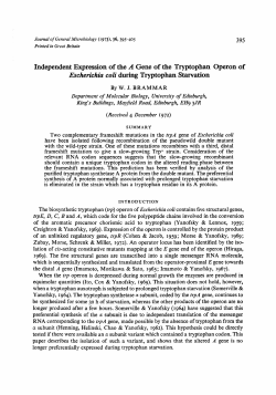 Independent Expression of the A Gene of the Tryptophan Operon of