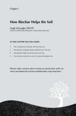 How Biochar Helps the Soil