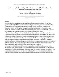 Sedimentary Facies and Depositional Environment