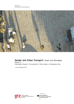 Gender and Urban Transport: Smart and Affordable