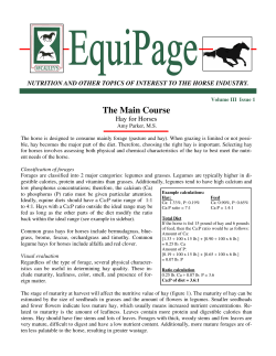 ISSUE 7 - McCauley Feeds