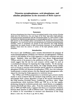 Thiamine pyrophosphatase, acid phosphatase, and alkaline