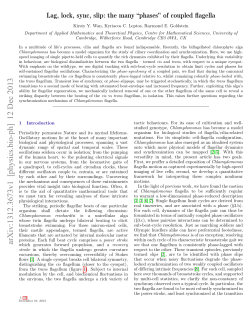 Lag, lock, sync, slip: the many" phases" of coupled flagella