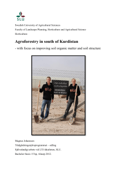 Agroforestry in south of Kurdistan