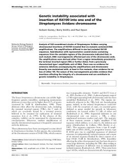 Genetic instability associated with insertion of IS6100