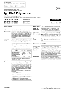 Tgo DNA Polymerase