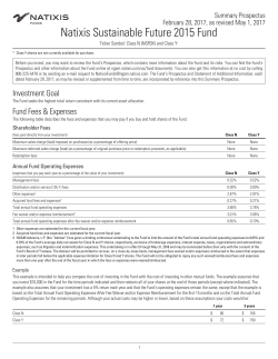 Summary prospectus - Natixis Global Asset Management