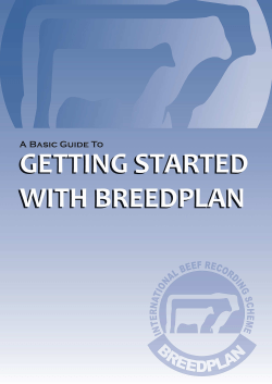 A Guide to Getting Started - Breedplan