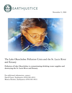 The Lake Okeechobee Pollution Crisis and the St