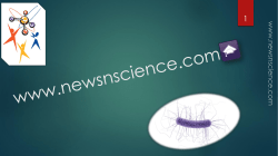 Dogs` brains may process speech similar to