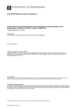 Is Do&ntilde;a Quixote Fighting Windmills?