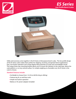 ES Series - Blackstone Scale Systems