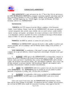 CONSULTANT AGREEMENT THIS AGREEMENT is made and