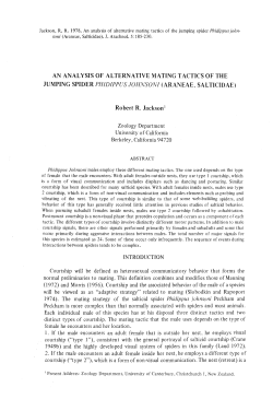 Mating Tactics - American Arachnology