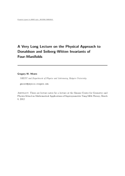 A Very Long Lecture on the Physical Approach to Donaldson and