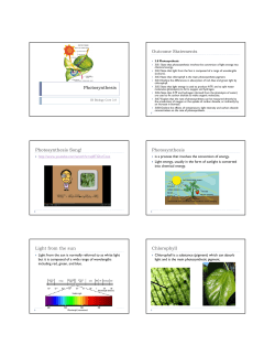 3.8 Photosynthesis - hrsbstaff.ednet.ns.ca