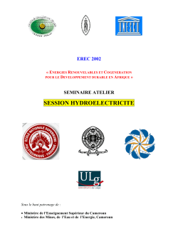 energies renouvelables et cogeneration pour le developpement