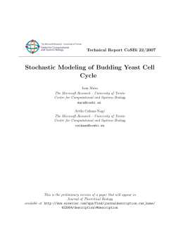 Stochastic Modeling of Budding Yeast Cell Cycle