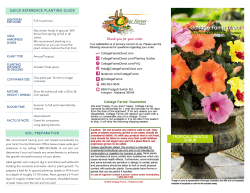 Hibiscus_Tropical HibisQ Shrub.qxd