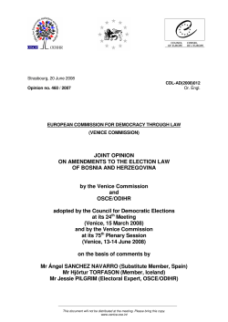 JOINT OPINION ON AMENDMENTS TO THE ELECTION LAW OF