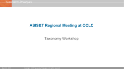 Taxonomy Workshop - Taxonomy Strategies