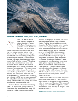 most egregious examples of tailings dumping is Freeport